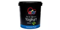 BIO YOGHURT NATURE PLAIN 1X5L - Bulkbox Wholesale