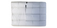 CELINE PROFESSIONAL ECO ROLLS TOILET TISSUE UNWRAPPED 1X40 - Bulkbox Wholesale