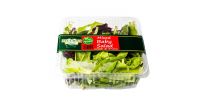 ZUCCHINI MIXED BABY SALADS/PNT - Bulkbox Wholesale